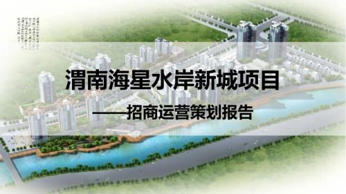 某水岸新城項目招商運營策劃報告