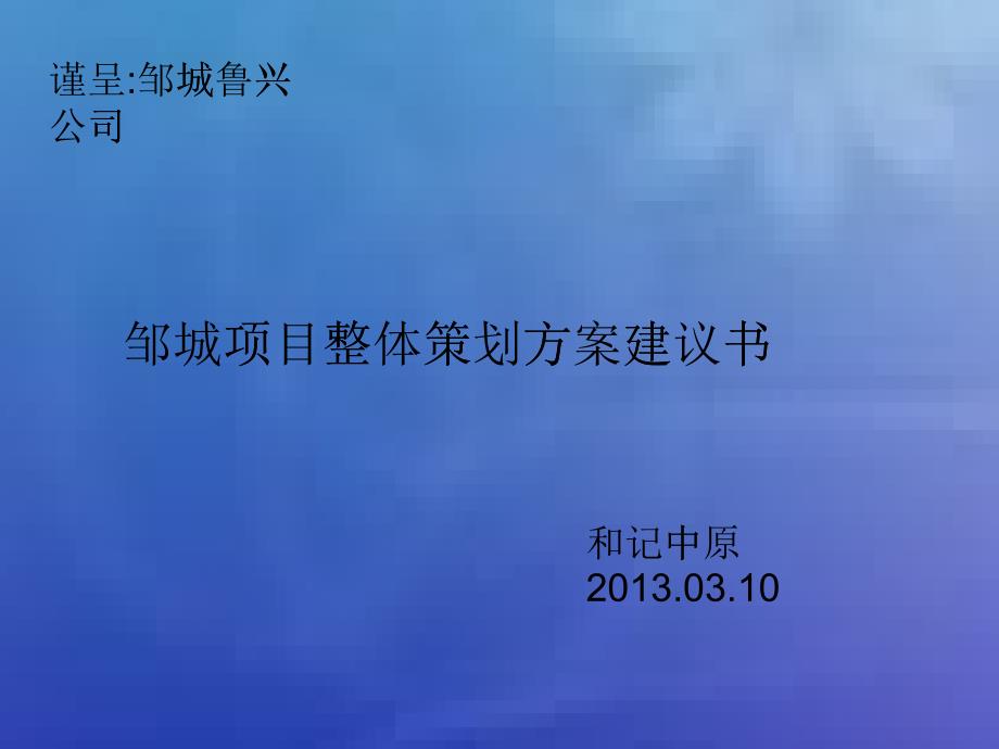 某公司项目整体策划方案建议书_第1页