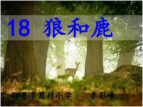 語文蘇教版三年級下冊本課教學(xué)課件-狼和鹿-語文-小學(xué)-李彩峰