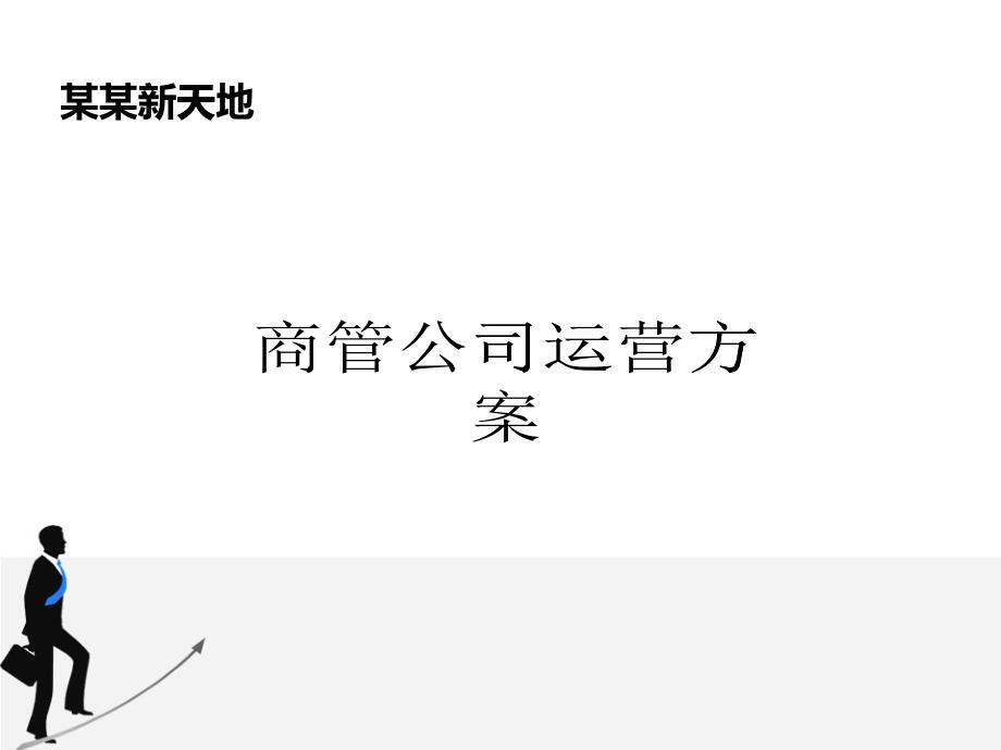 某商业经营管理公司运营方案_第1页