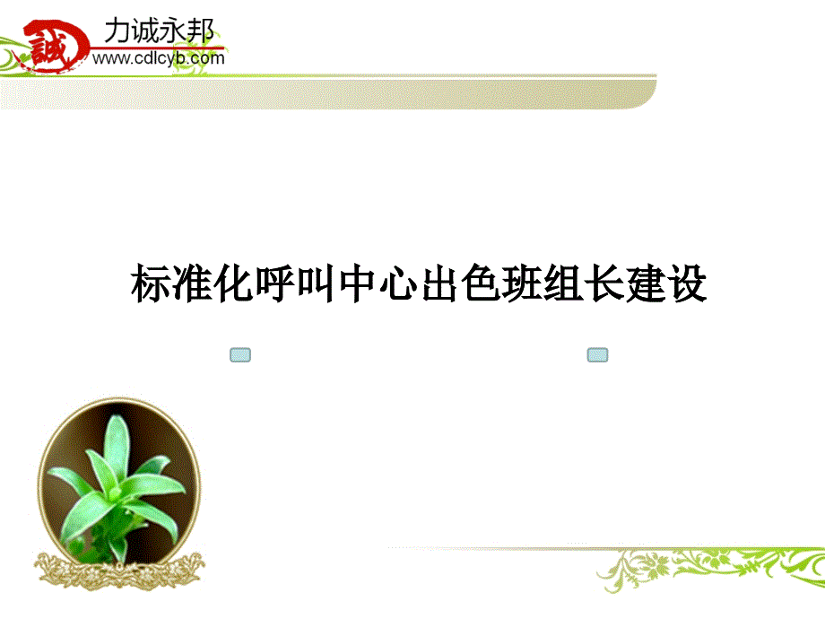 某公司呼叫中心出色班组长建设教材_第1页