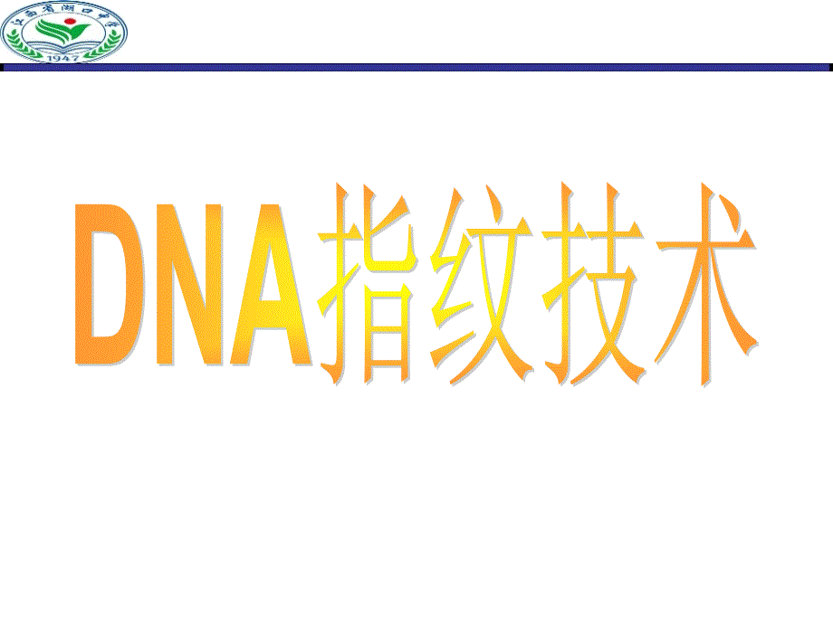 科学·技术·社会　DNA指纹技术 (3)(精品)_第1页