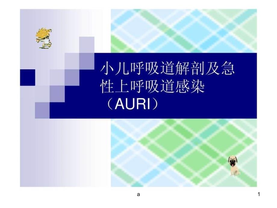 小儿呼吸道解剖及急性上呼吸道感染(AURI) 《儿科学》课件_第1页