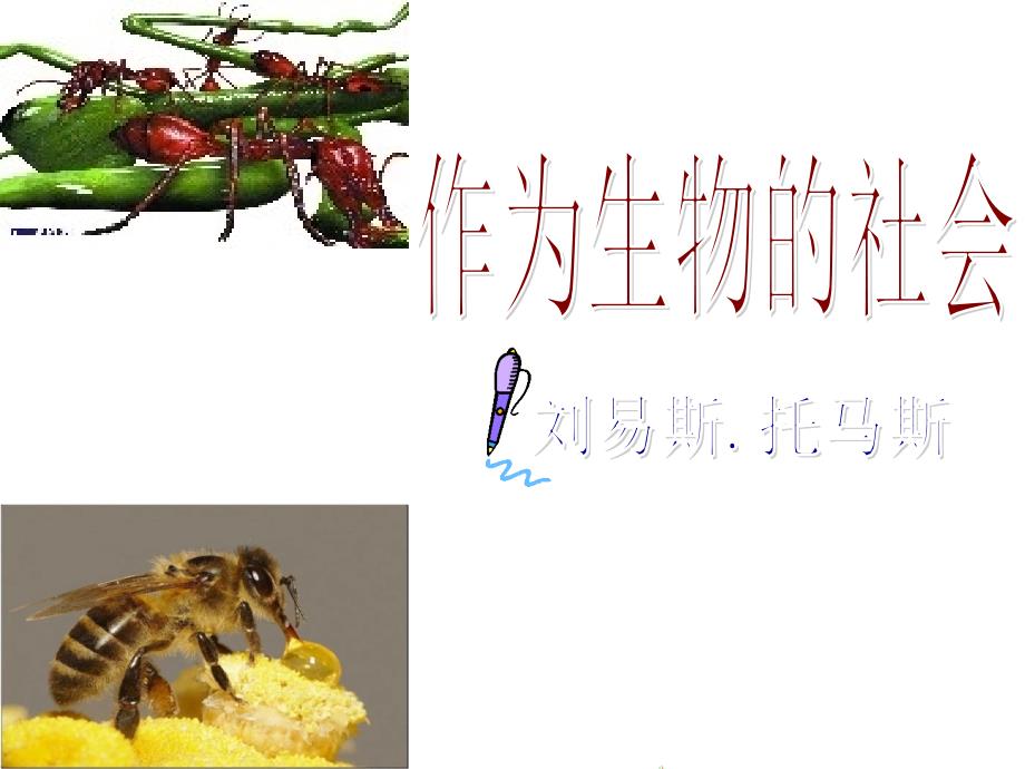 《作为生物的社会》2优秀课件_第1页