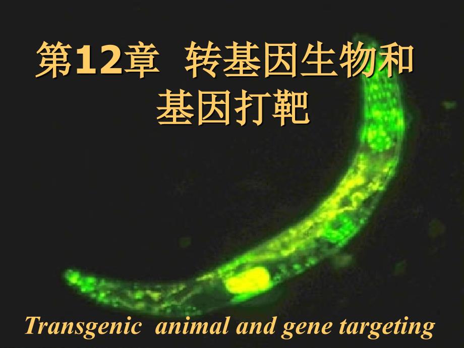 分子生物学-吕社民-转基因生物与基因打靶_第1页