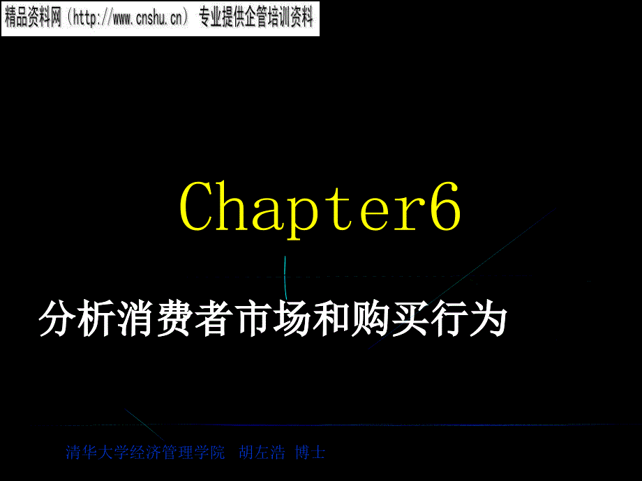 如何分析消费者市场和购买行为_第1页