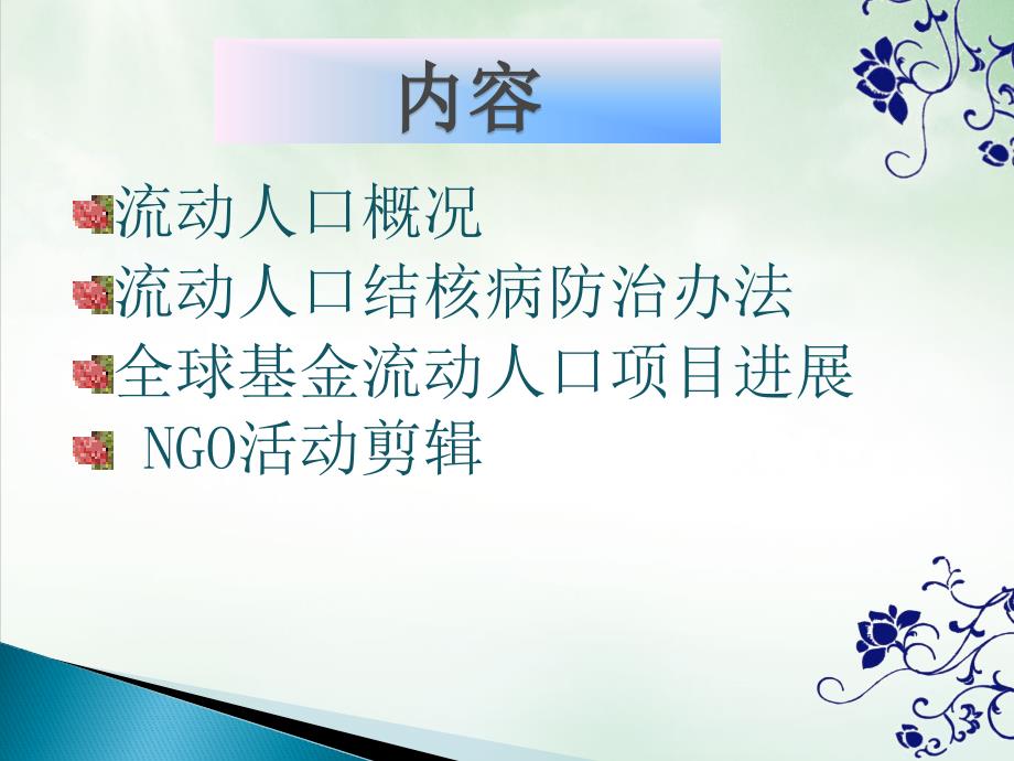 流动人口结核病防治及NGO作用结核病防治骨干课件_第1页