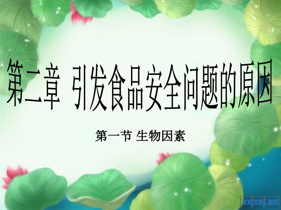 引发食品安全问题的微生物因素_第1页