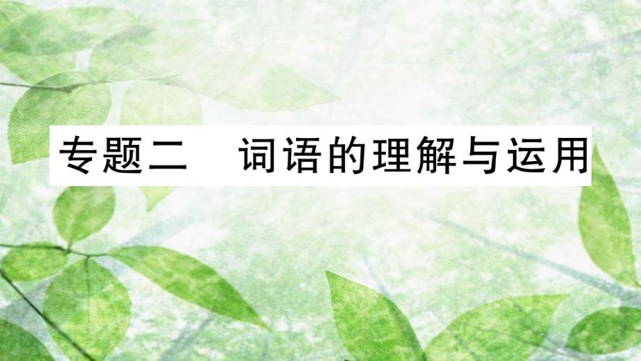 七年级语文上册 期末专题复习二 词语的理解与运用优质课件 新人教版_第1页