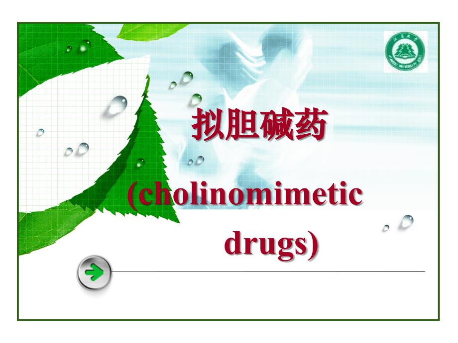 拟胆碱酶药和胆碱酶复活_第1页