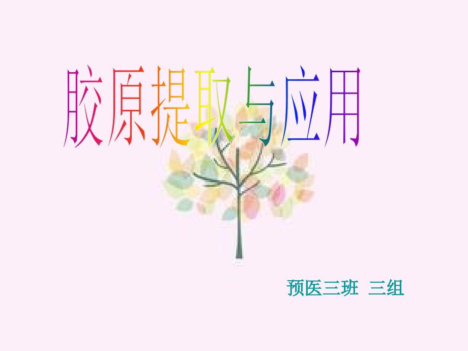 胶原蛋白提取与应用_第1页