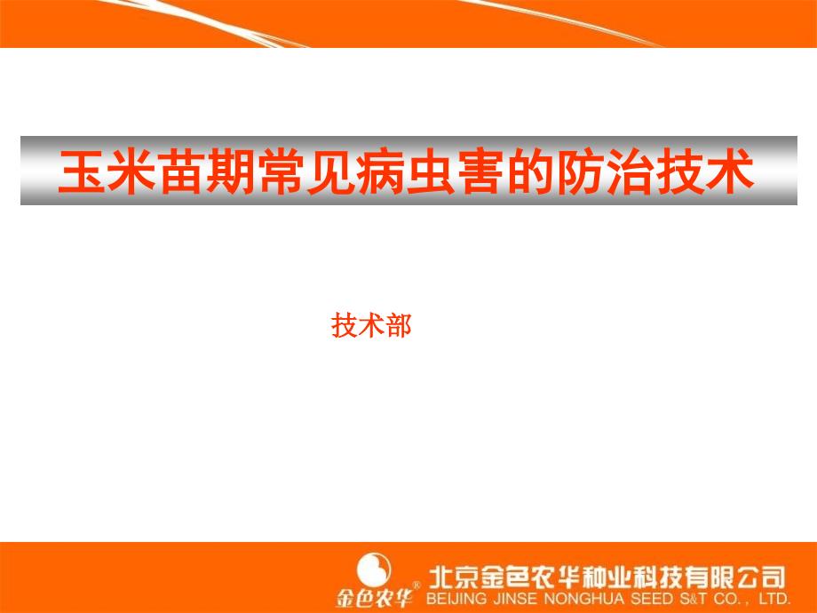 玉米苗期常见病虫害防治_第1页