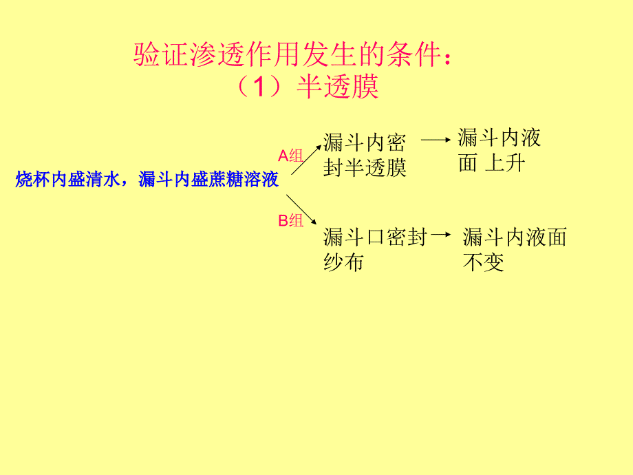 验证渗透作用发生的条件_第1页