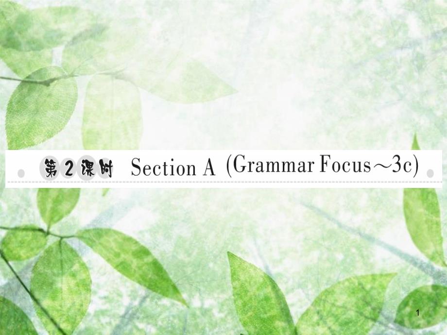 八年级英语上册 Unit 3 I’m more outgoing than my sister（第2课时）Section A（Grammar Focus-3c）习题优质课件 （新版）人教新目标版_第1页