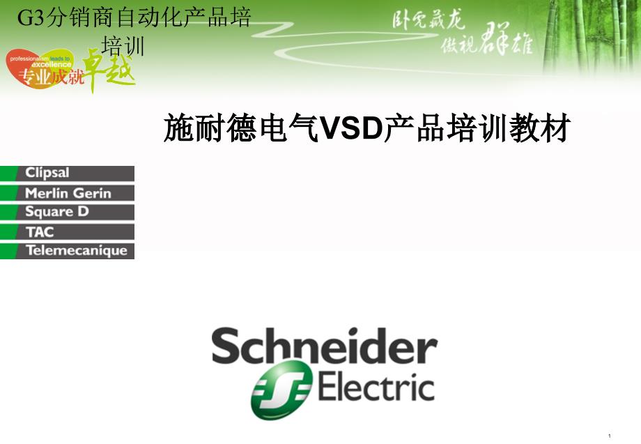 施耐德电气VSD产品资料_第1页