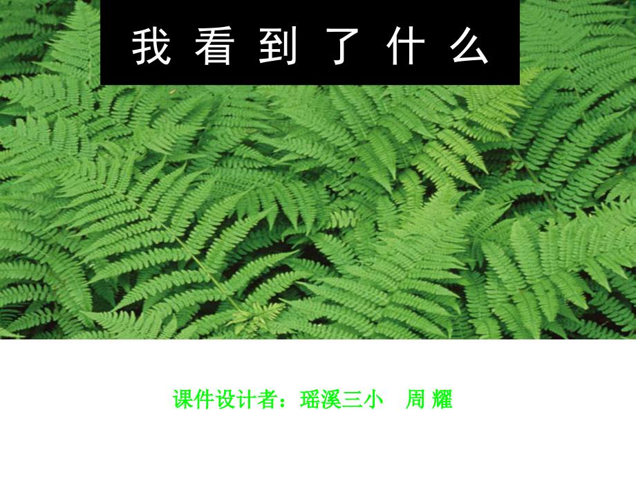 教科版小学科学三年级上册第一单元《我看到了什么》PPT课件_第1页