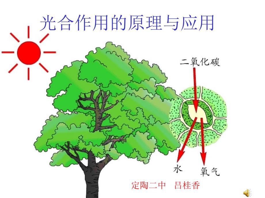 光合作用的原理和应用课件_第1页