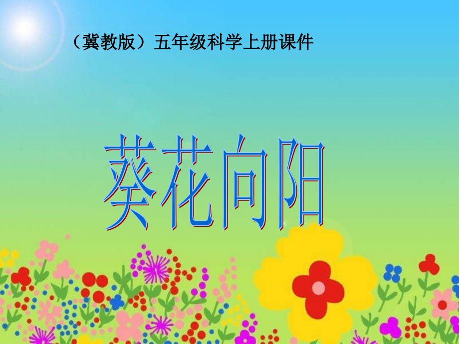 冀教版小学科学五年级上册《葵花向阳》_第1页