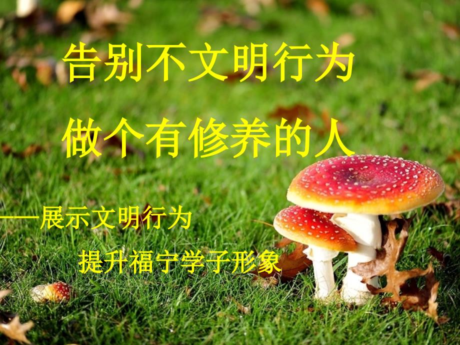 告别不文明行为做个有修养的人_第1页