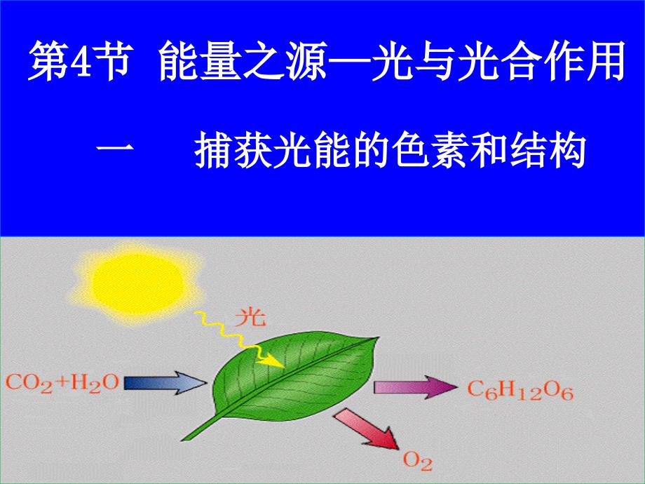 光合作用PPT课件_第1页