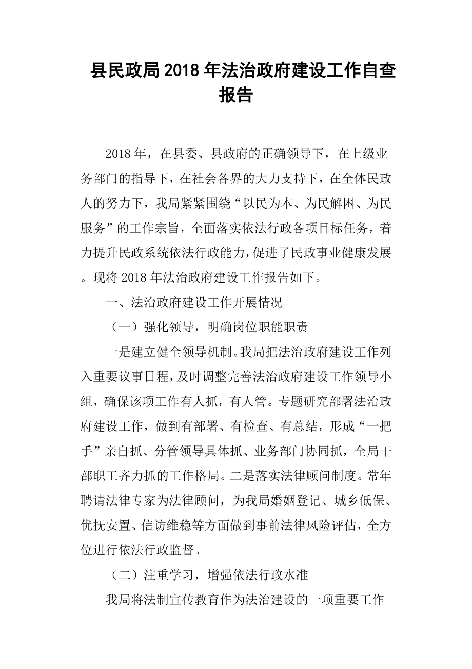 縣民政局法治政府建設工作自查報告.docx_第1頁