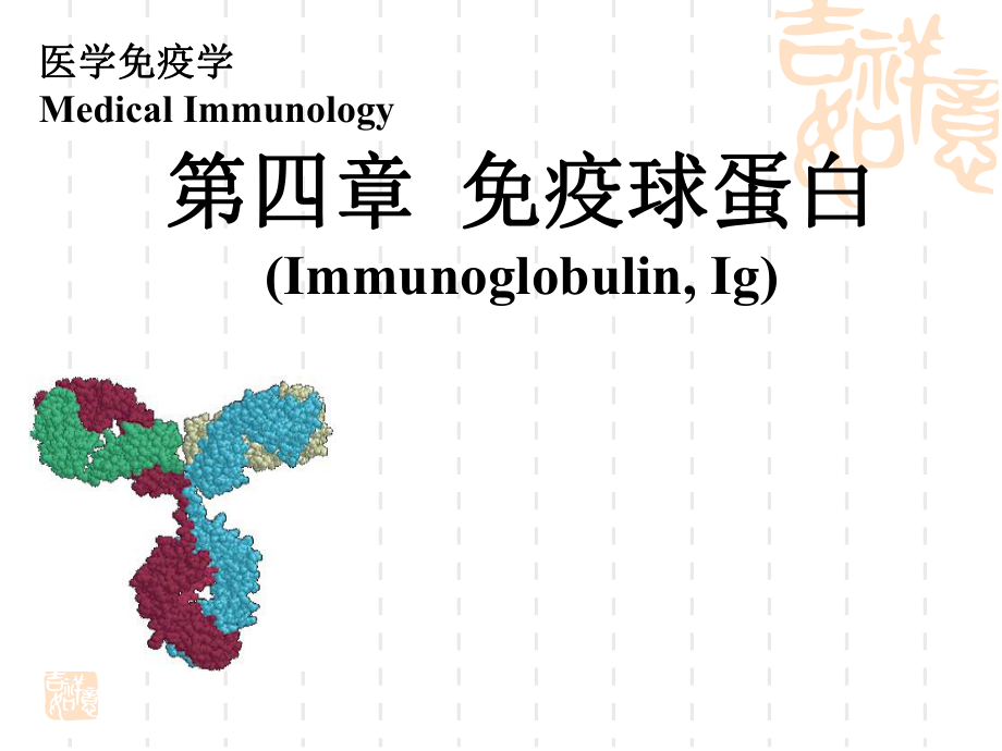 医学免疫学：04免疫球蛋白_第1页
