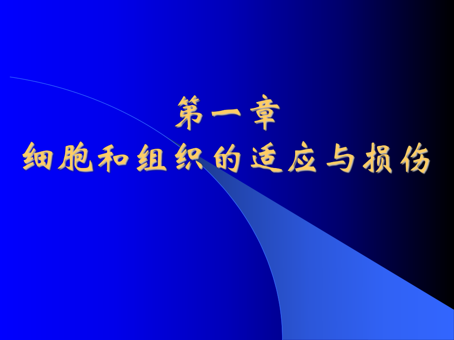 病理學(xué)課件：第一章 細胞和組織的適應(yīng)與損傷_第1頁