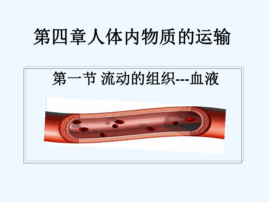 七年级生物下册441流动组织血液课件新版新人教版_第1页
