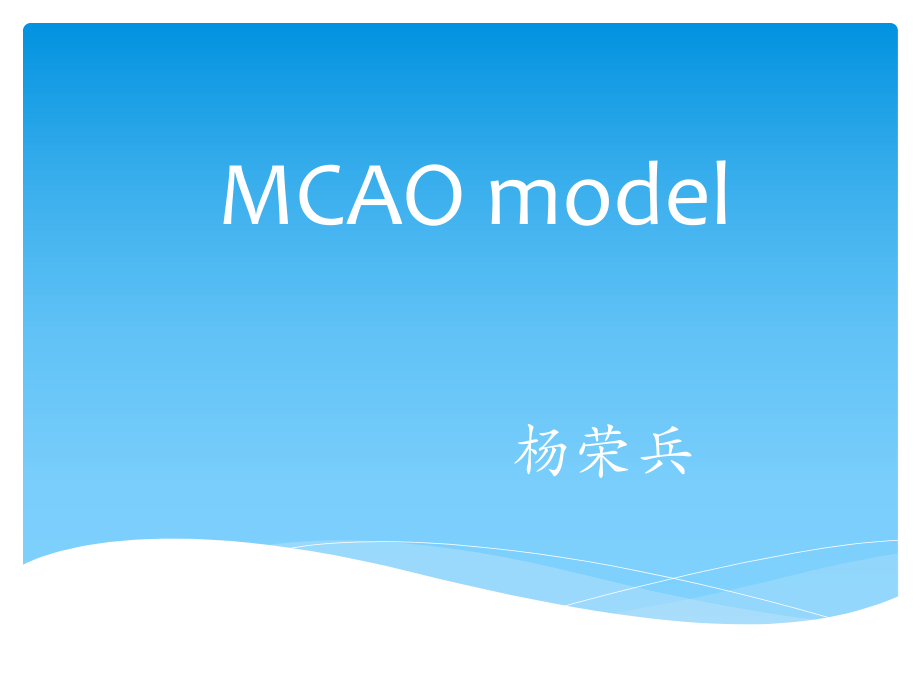 MCAO模型_第1页