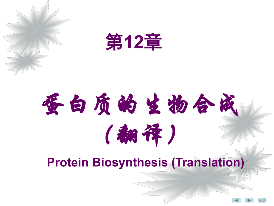 生物化学和分子生物学：第12章蛋白质生物合成_第1页