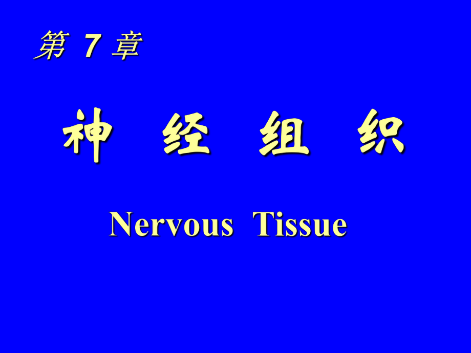 組織與胚胎學(xué)課件：07 神經(jīng)組織_第1頁(yè)