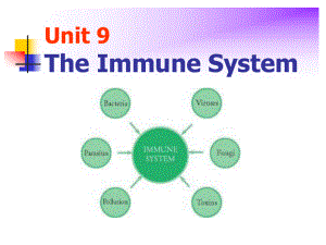 基础医学英语教学课件：Unit 9 Immune System