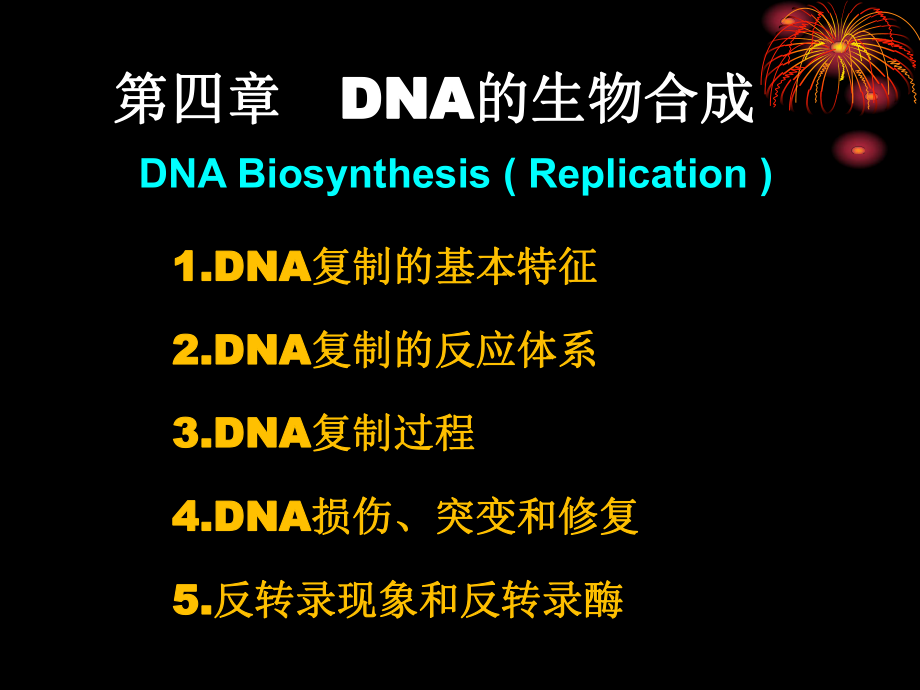 生物化學(xué)：第4章 DNA的生物合成_第1頁