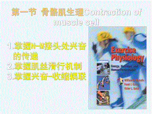 人体及动物生理学第五章肌细胞收缩心肌平滑肌生理