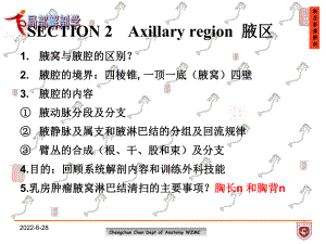 局部解剖学：SECTION 2Axillary region腋区