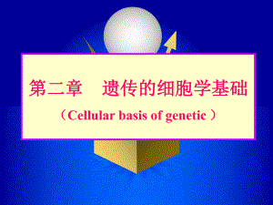 醫(yī)學遺傳學：第2章 遺傳的細胞基礎