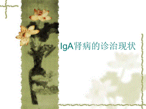 IgA腎病診治現(xiàn)狀PPT課件.ppt