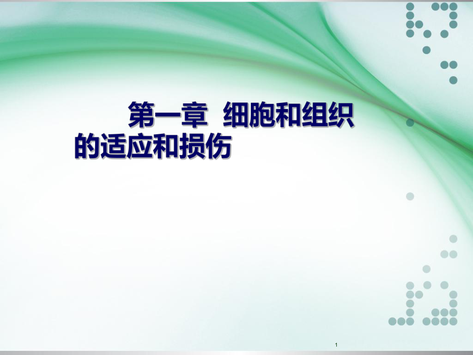 病理學(xué)：第一章細胞和組織的適應(yīng)和損傷 (2)_第1頁