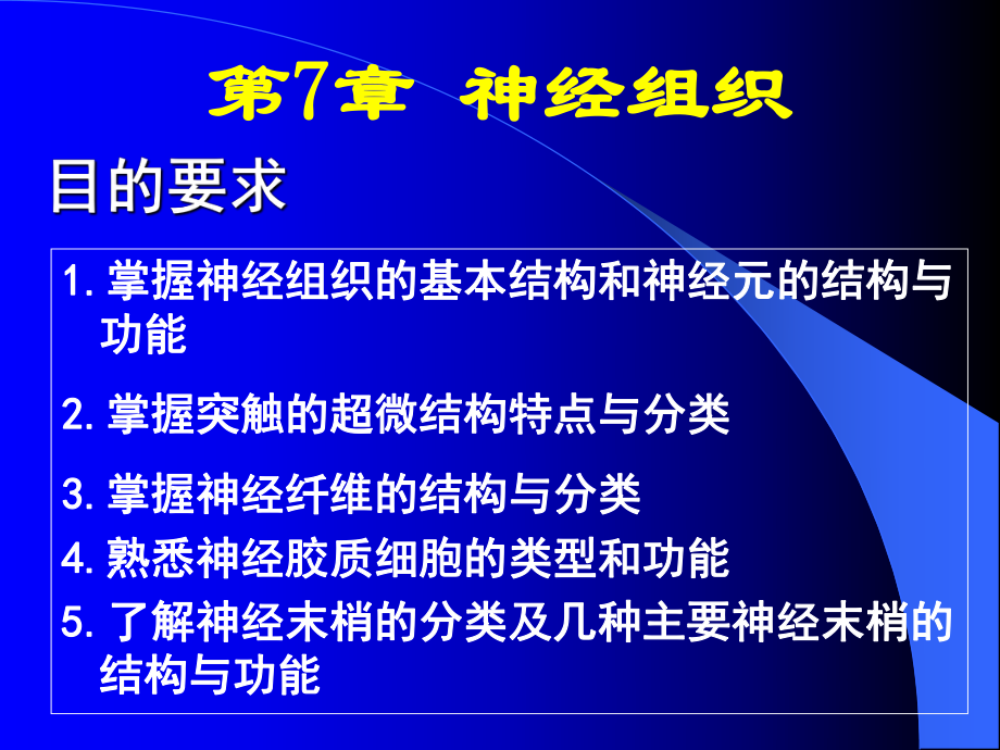 組織胚胎學(xué)：第7章 神經(jīng)組織_第1頁