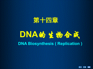 生物化学与分子生物学：DNA的生物合成