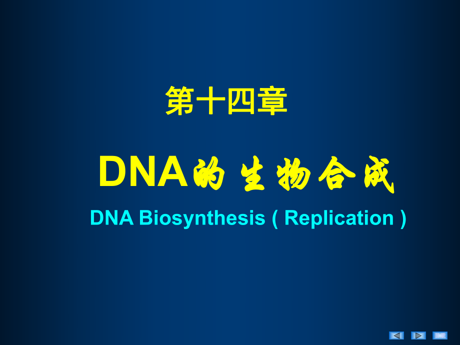 生物化学与分子生物学：DNA的生物合成_第1页