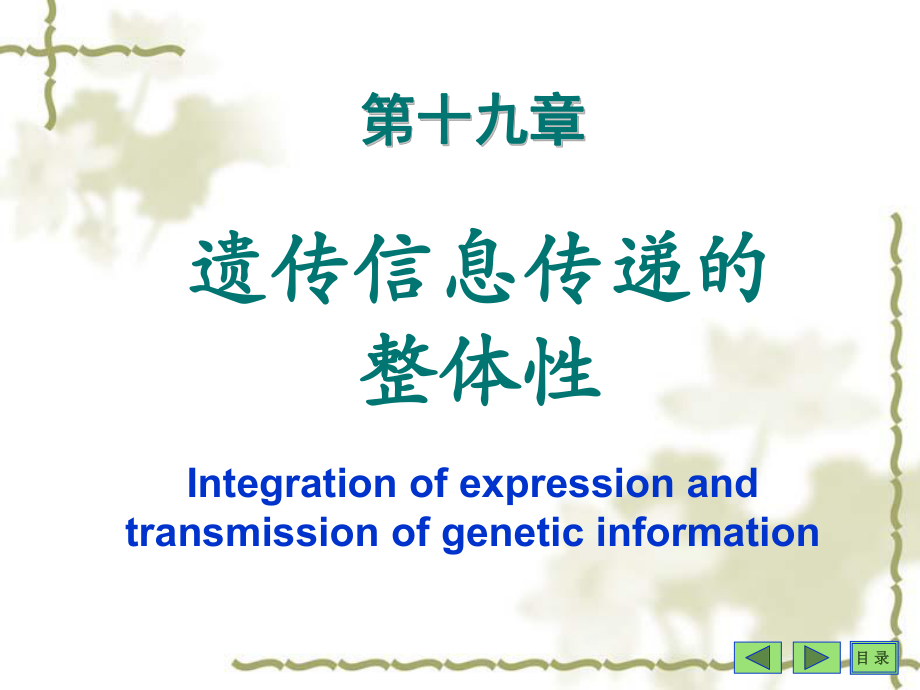 生物化学课件：第19章 遗传信息传递的整体性_第1页