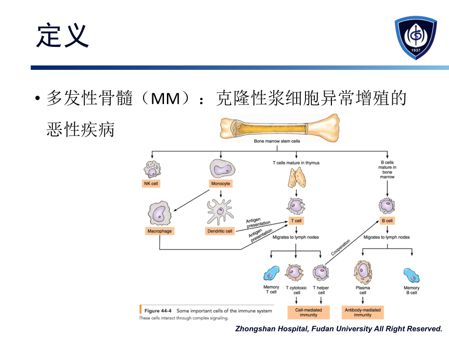 內科學課件:36 多發性骨髓瘤_第2頁