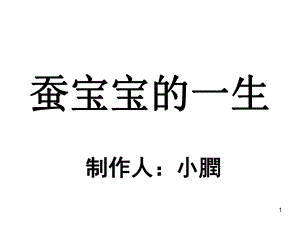 蠶的一生,蠶寶寶的一生,蠶的生長過程 PPT_資料下載