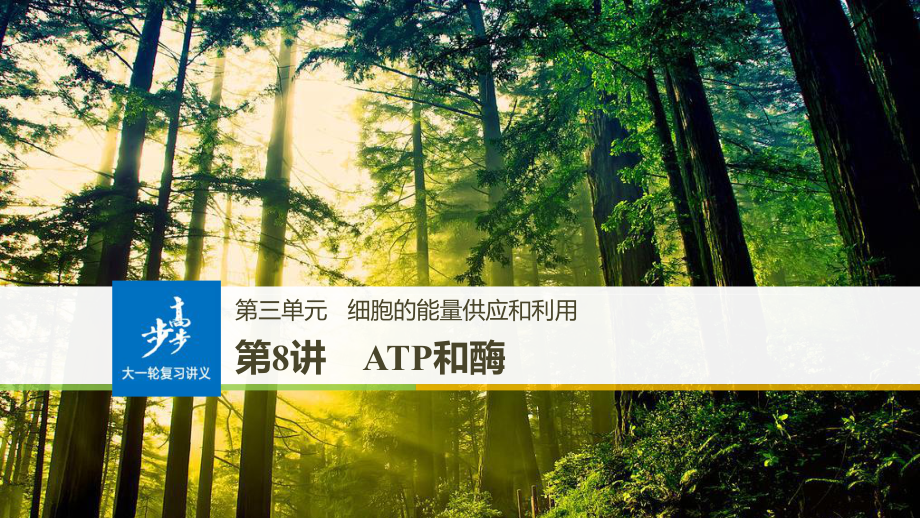 生物高三一輪復習《酶與ATP》_第1頁