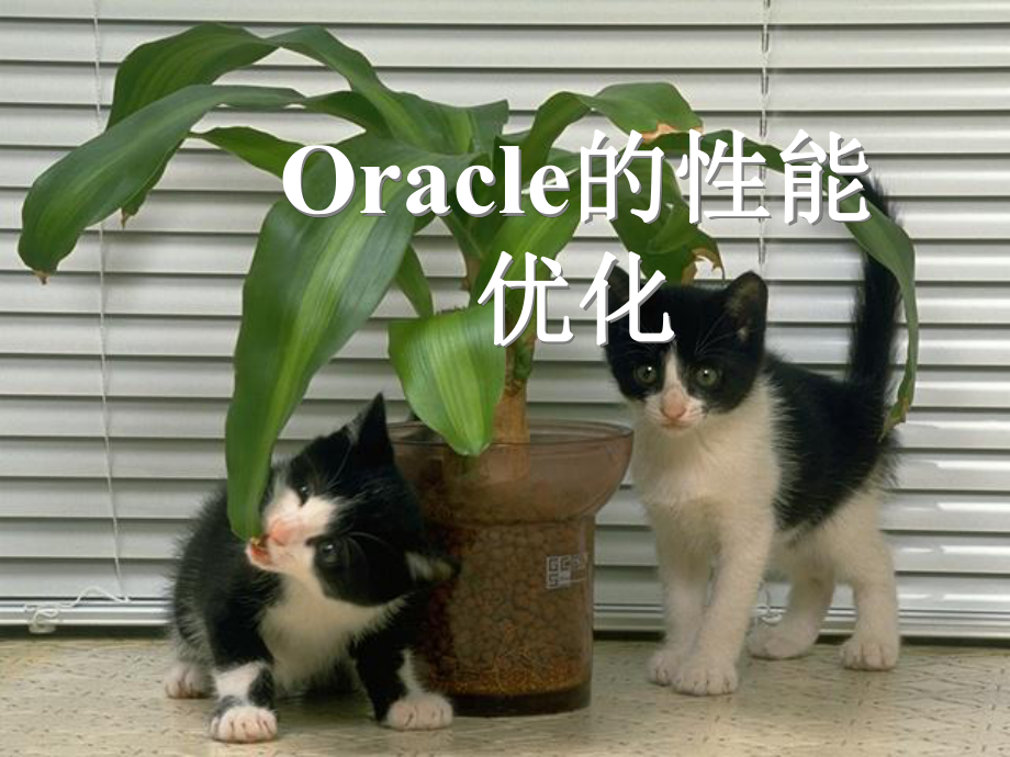 第09章Oracle的性能优化_第1页