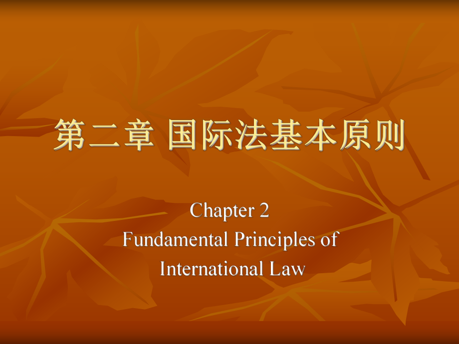 国际法基础理论：第二章 国际法基本原则_第1页