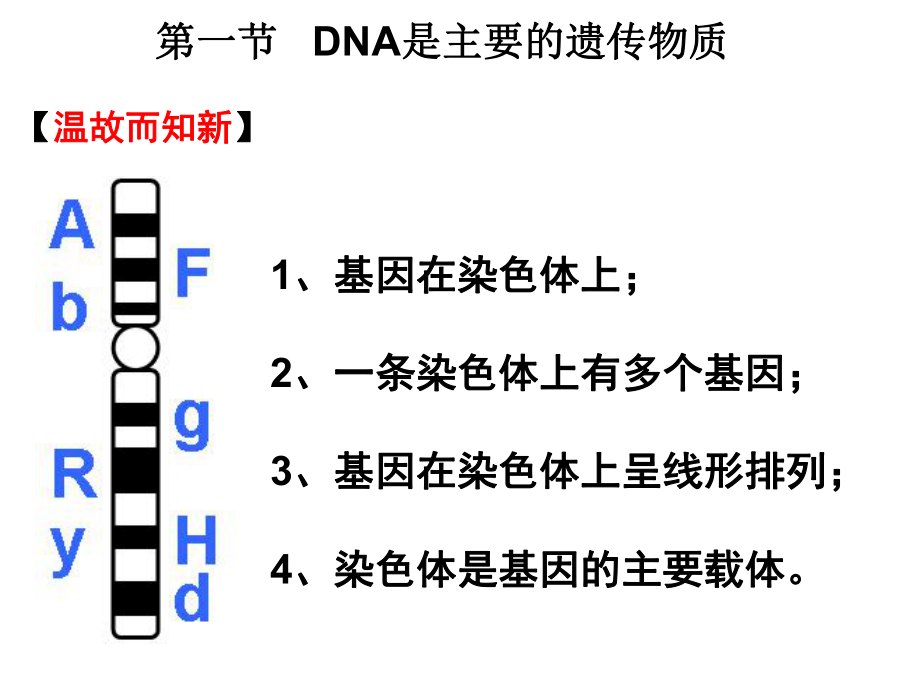 DNA是主要的遗传物质_第1页