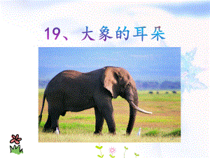 部编版二年级下册语文 《19大象的耳朵》 公开课课件
