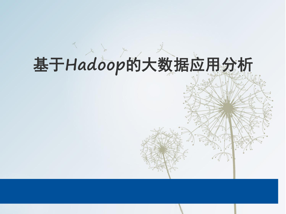 基于Hadoop的大数据应用分析45_第1页